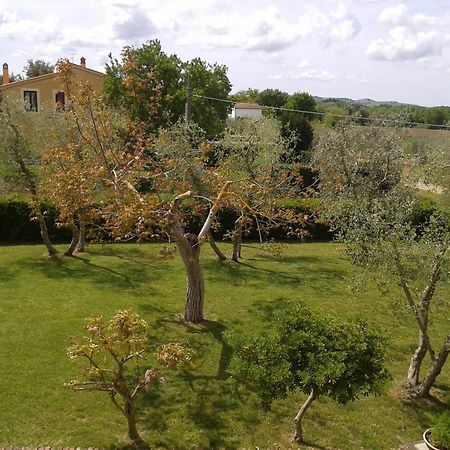 Il Punto Verde Sant'Antonio  Екстер'єр фото