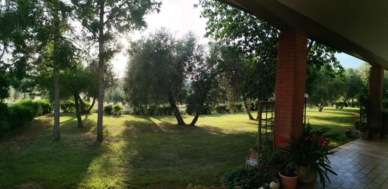 Il Punto Verde Sant'Antonio  Екстер'єр фото
