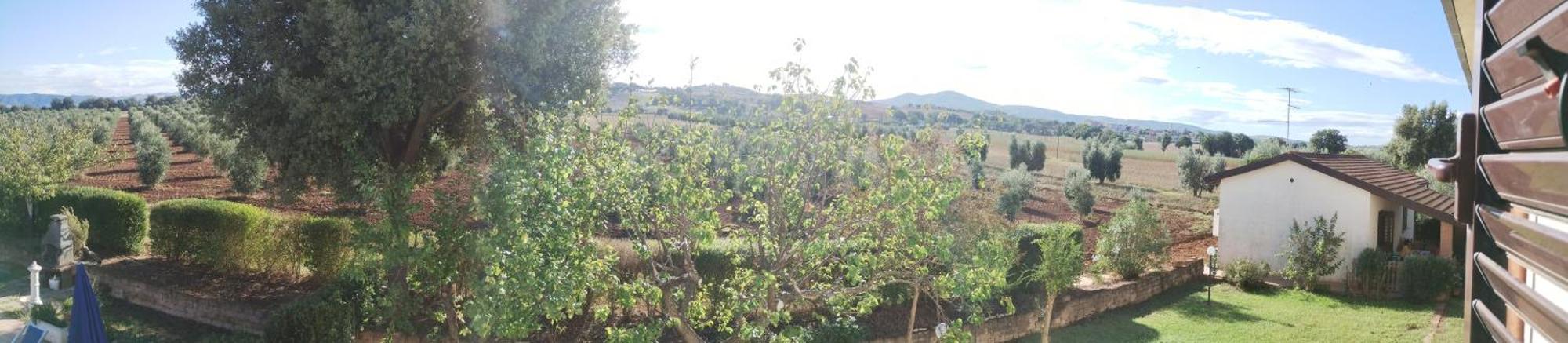Il Punto Verde Sant'Antonio  Екстер'єр фото