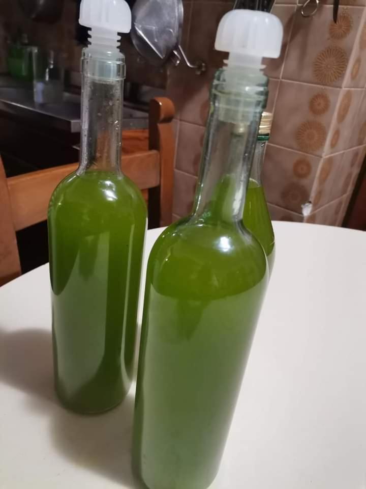 Il Punto Verde Sant'Antonio  Екстер'єр фото