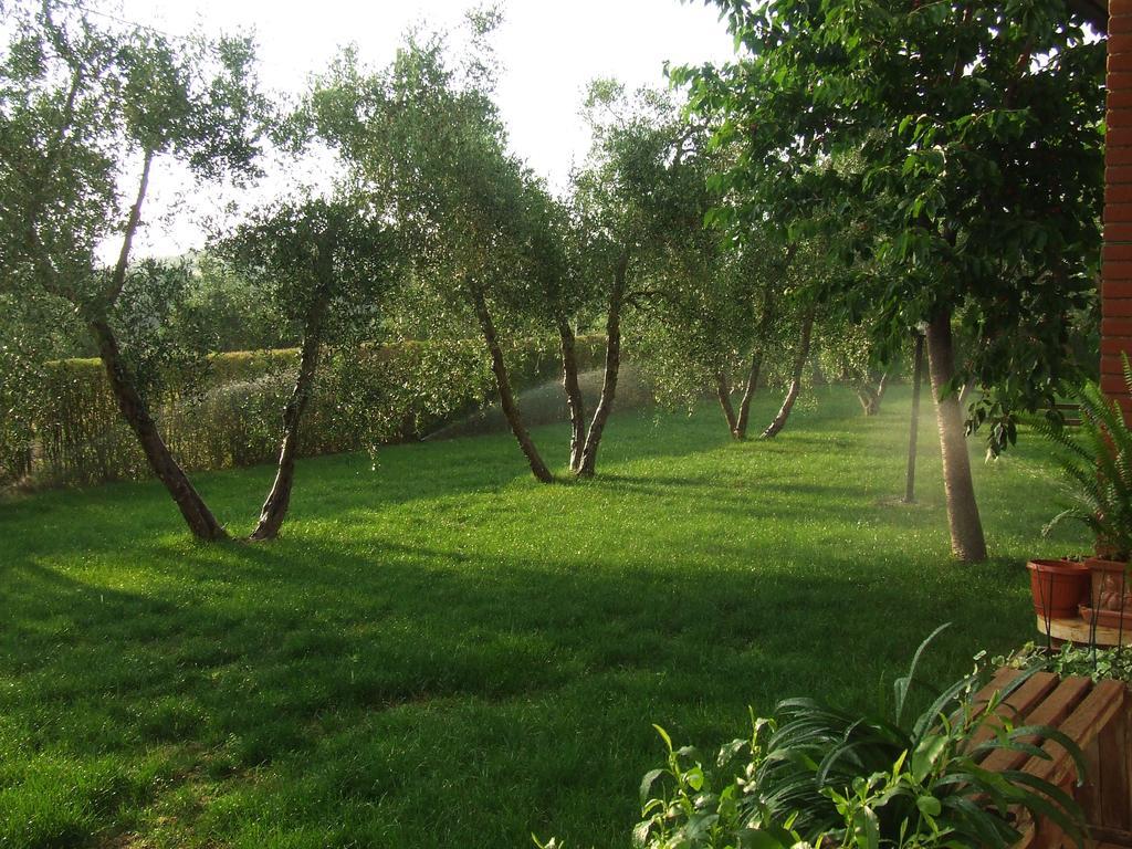 Il Punto Verde Sant'Antonio  Екстер'єр фото