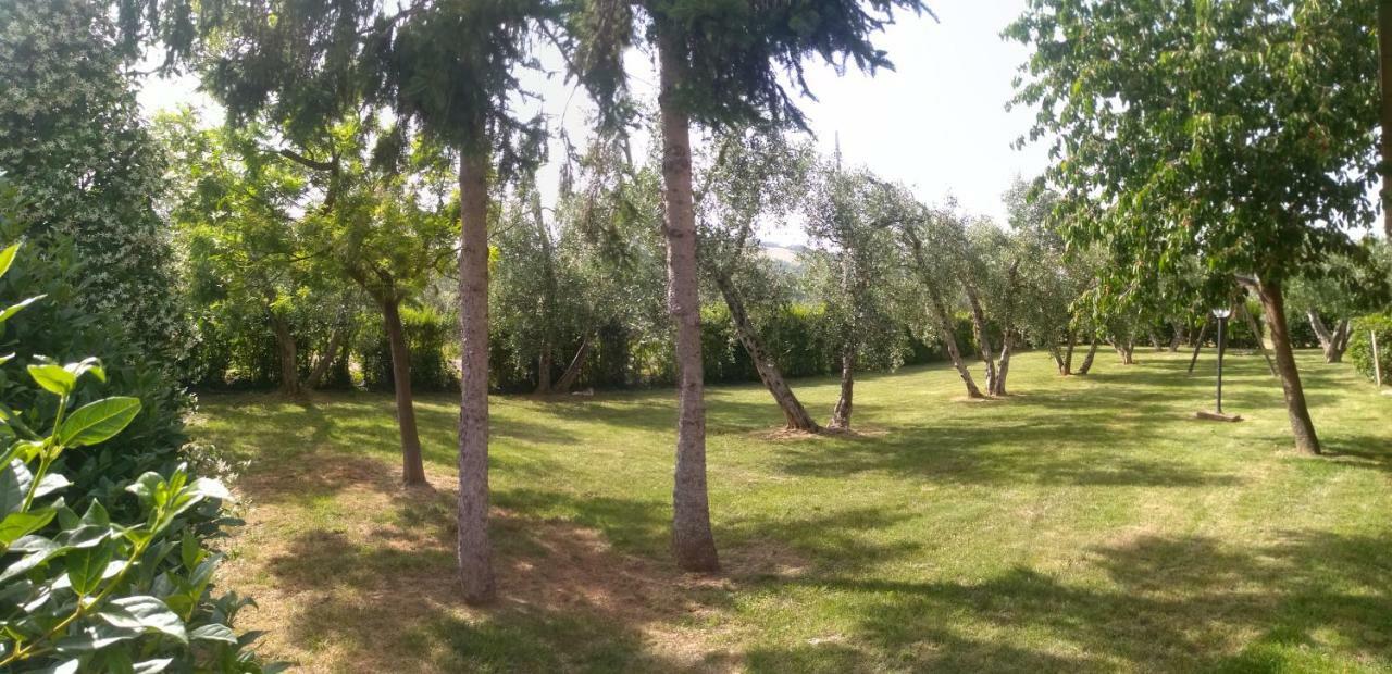 Il Punto Verde Sant'Antonio  Екстер'єр фото